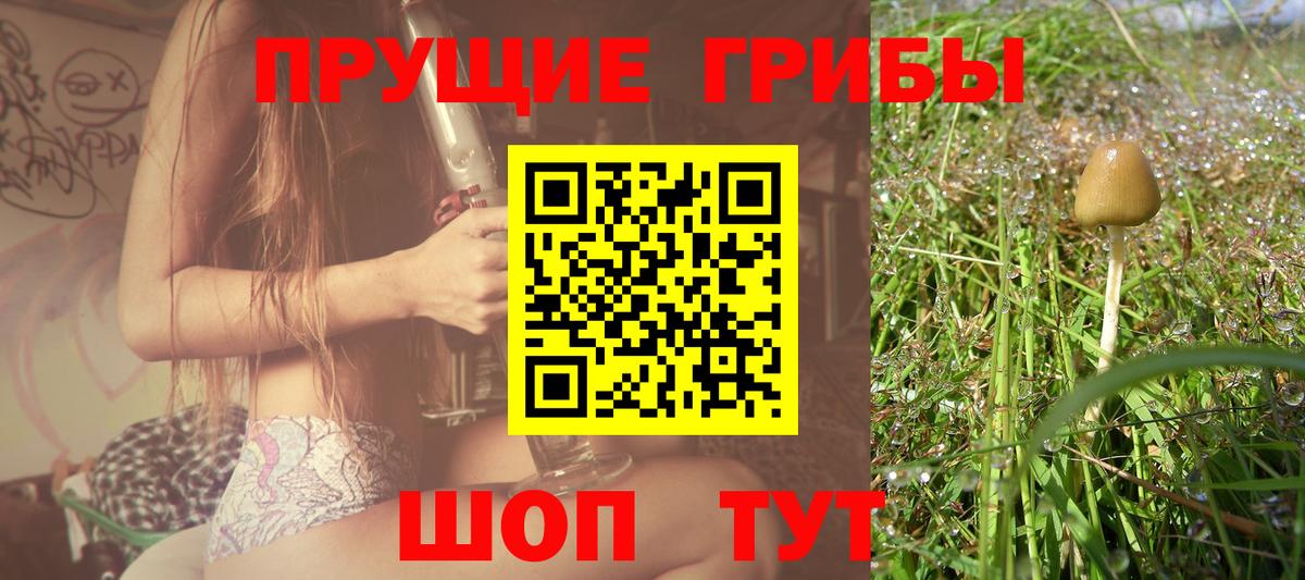 Псилоцибиновые грибы Psilocybe  Галлюциногенные грибы MAGIC MUSHROOMS  купить наркотики сайты  Вход с VPN  Сегежа 